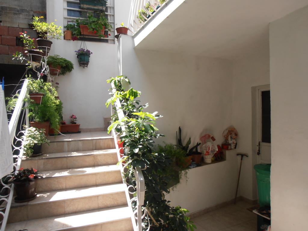 Apartmani Zeljko Vujovic Budva Exterior photo