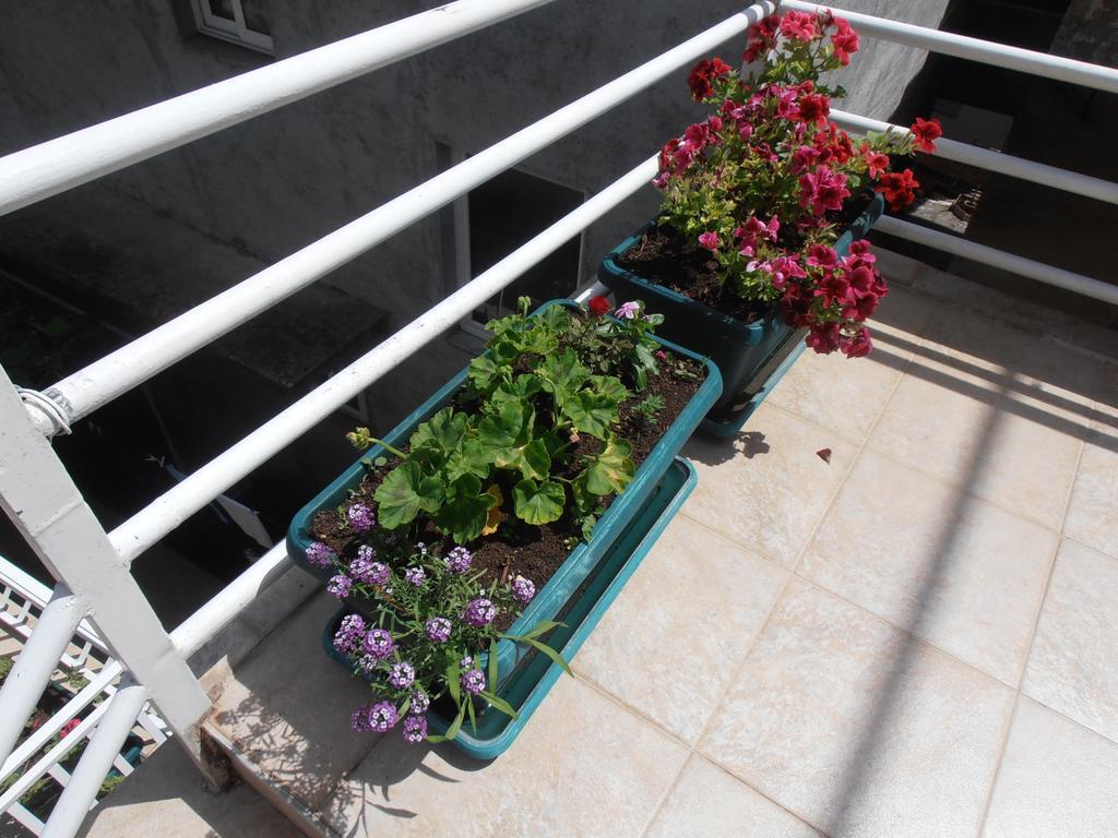 Apartmani Zeljko Vujovic Budva Exterior photo